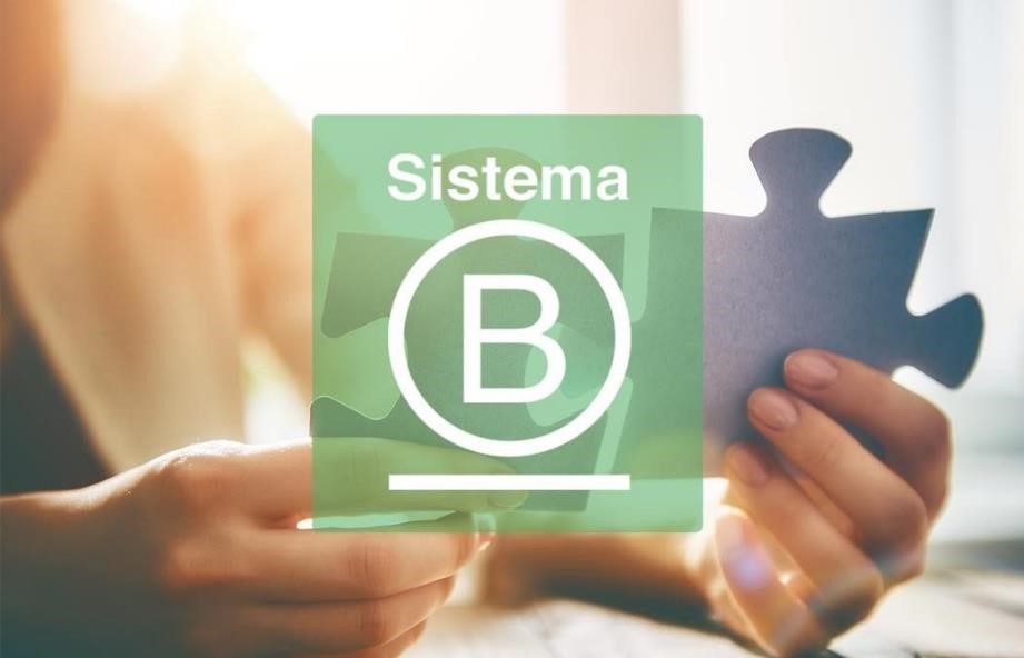 Crecen las empresas “B”: ¿qué es el Triple impacto?