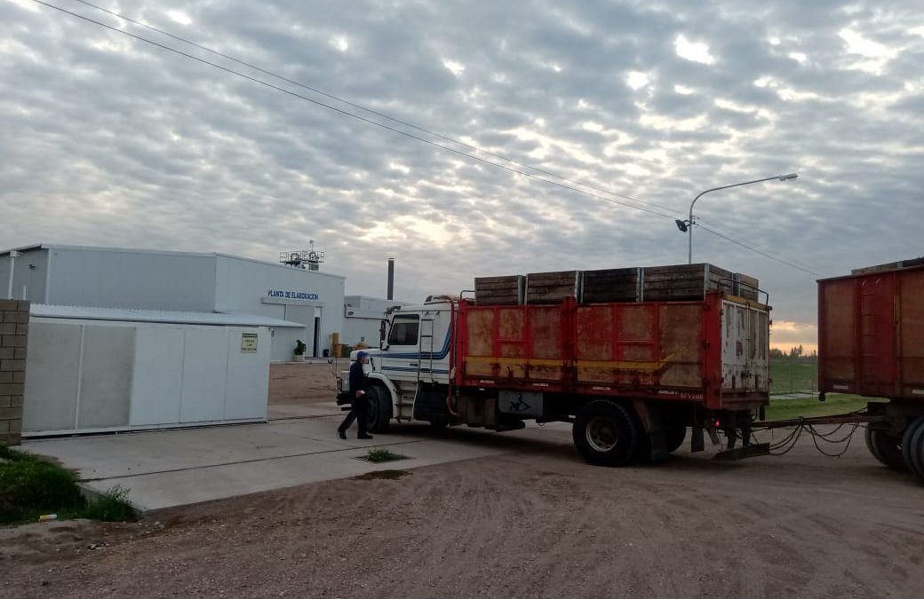 Productores San Rafaelinos  llevaron su primera cosecha a la pulpera municipal