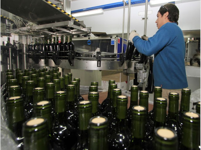 Ponen en marcha un subsidio de tarifas eléctricas para el sector vitivinícola