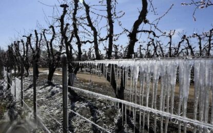 El Desayunador | Plan productivo en Mendoza por el Cambio Climático