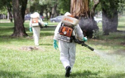 El Desayunador | Dos casos de dengue y uno importado de chikungunya en Mendoza