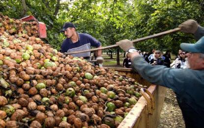 El Desayunador | Se aprobó la ley de créditos UVA y creció la producción frutícola en Mza