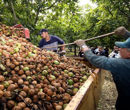 El Desayunador | Se aprobó la ley de créditos UVA y creció la producción frutícola en Mza