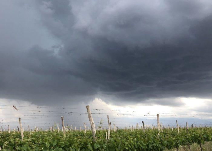 El Desayunador | Mendoza en emergencia agropecuaria hasta 2025