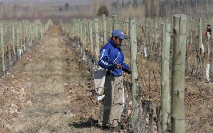 El Desayunador | Mza: Emergencia y desastre agropecuario en 6 departamentos