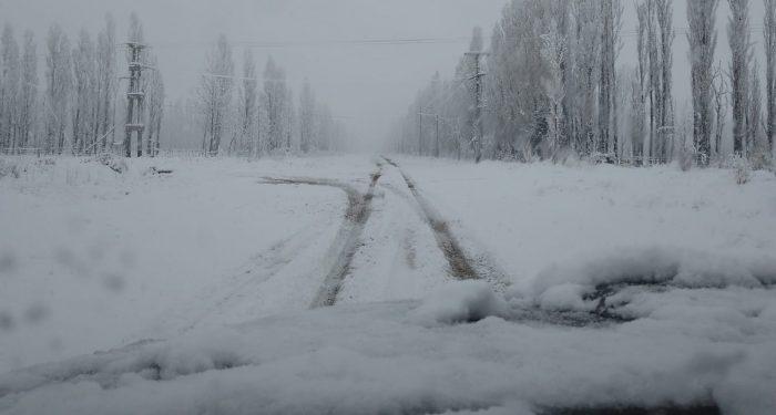 El Desayunador | Frío, lluvias y nevadas en algunos departamentos de Mza