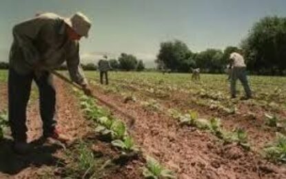 El almanaque 8 de octubre