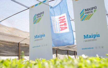 Maipú fomenta la soberanía productiva entregando más de 35 mil plantines