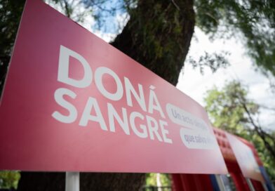Campaña de Verano 2025/2026: Dónde donar sangre en Mza