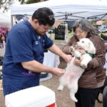 El almanaque 6 de agosto Dia del Veterinario