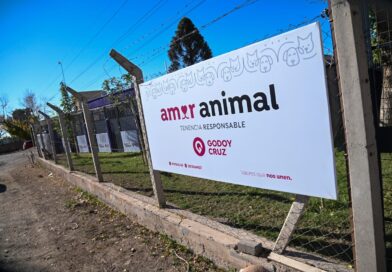 Godoy Cruz brinda cursos gratuitos para promover el bienestar animal