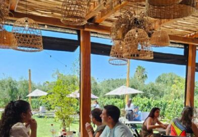 El Desayunador | Fin de semana largo: casi 56 mil turistas visitaron Mendoza